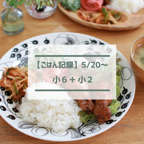 ごはん記録 (27)