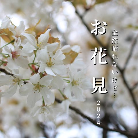 花見