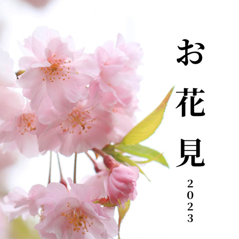花見