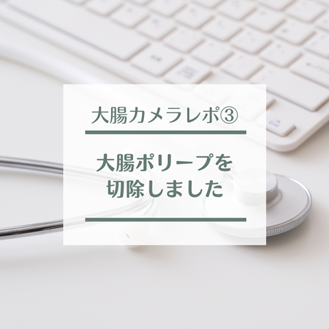 大腸カメラ