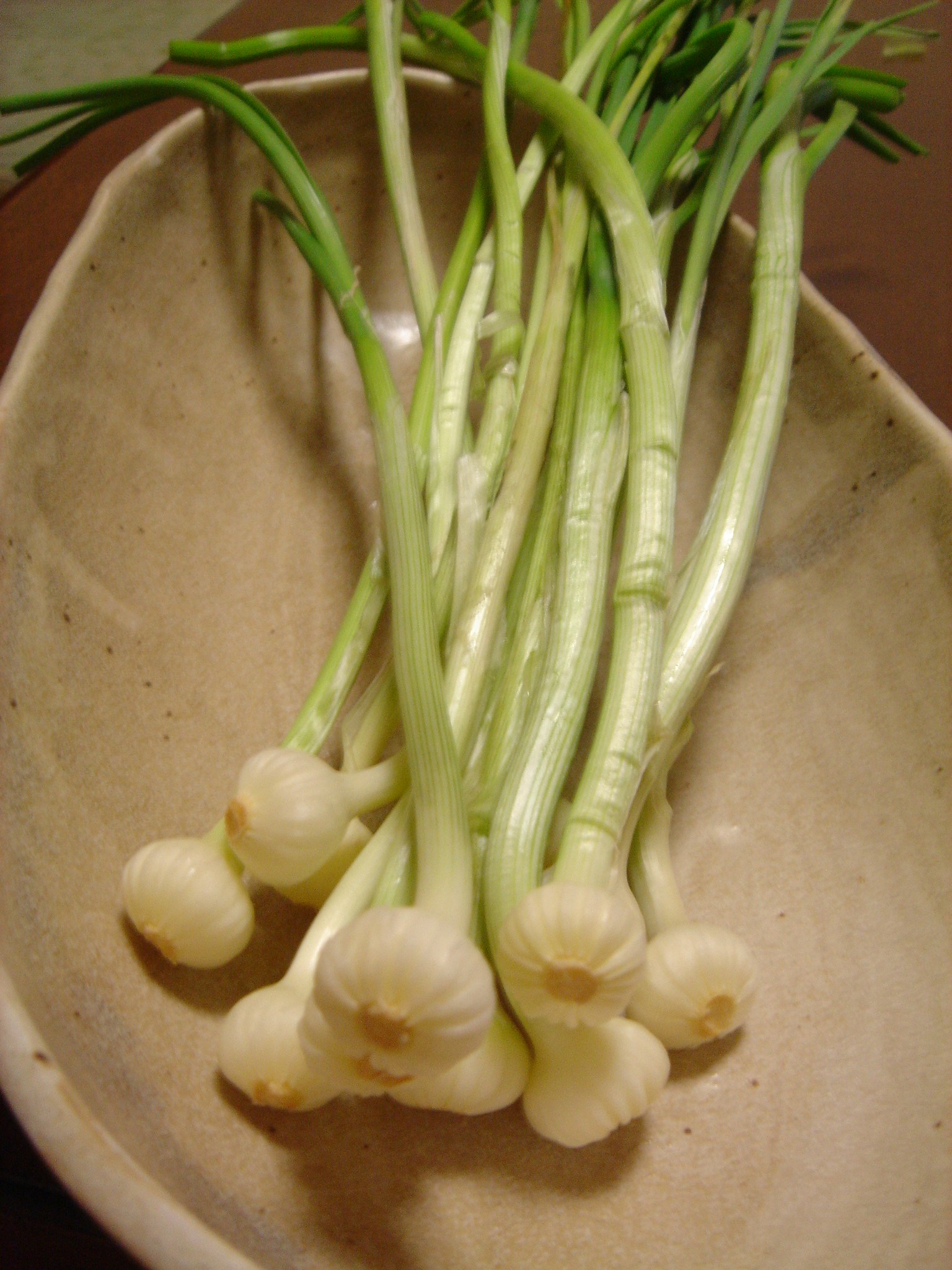 新米利酒師えり子の 誘惑の一滴(ひとしずく):野蒜(のびる)で感じる春! - livedoor Blog(ブログ)