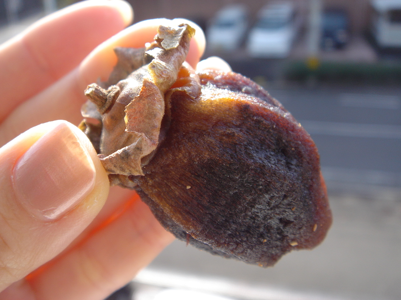 干し柿作り完結編 新米利酒師えり子の 誘惑の一滴 ひとしずく