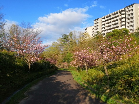 IMG_20200422_172001