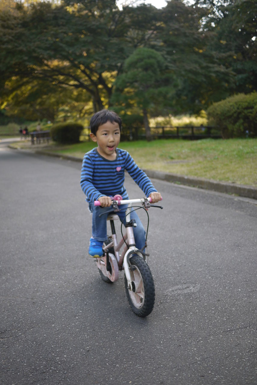 年少 自転車 補助 輪 なし