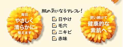 スクリーンショット 2018-09-15 13.31.38