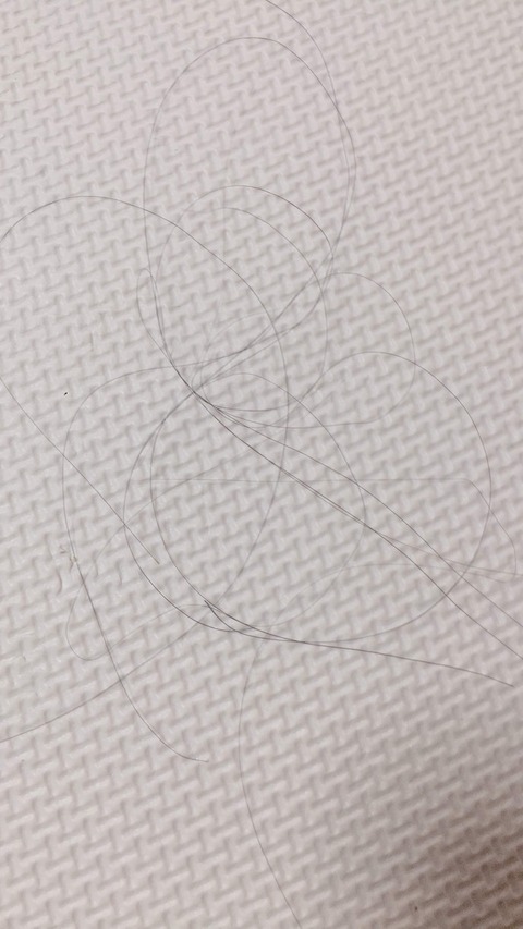 むしり取られた髪