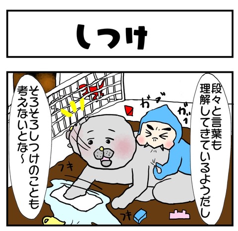 20190422日記1