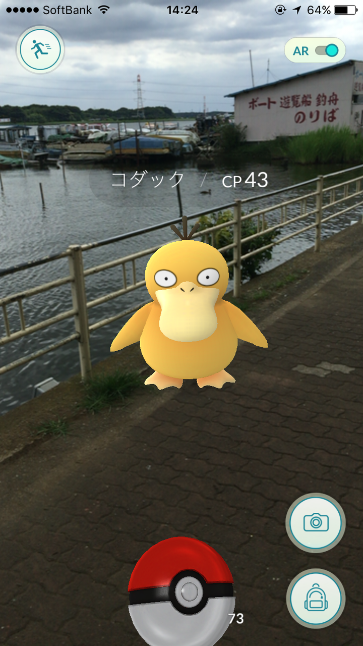 ポケモンgoで我孫子を徘徊 エリンランド