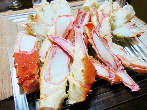 DSCN0461 (480x360)