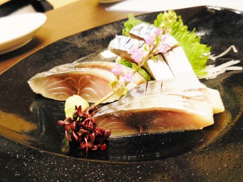 DSCN0999 (480x360)