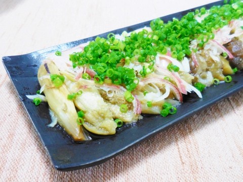 DSCN0455 (480x360)