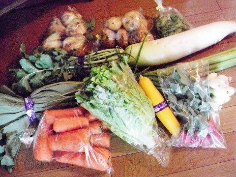 DSCF5993 (480x360)