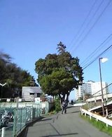 CN3sh0172.jpg