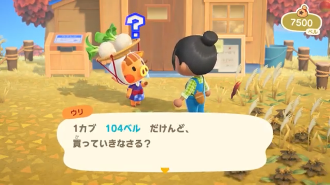 あつまれどうぶつの森ダイレクト情報 エルネア王国ブログ 旧市街の住人 あつまれどうぶつの森ダイレクト情報 エルネア王国ブログ 旧市街の住人