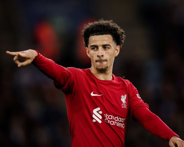 17.-Curtis-5-1024x819