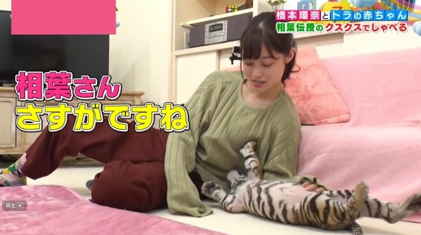 【超画像】橋本環奈ちゃんさん、クソガキにぱいタッチされてしまうｗｗｗｗ