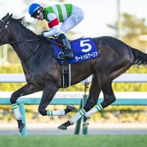 【速報】皐月賞2019枠順確定キター――！サートゥルナーリア・ダノンキングリーなど枠が…..【全枠順あり】