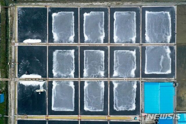 韓国の塩田でまたも「強制労働」疑惑…「本人の拒否・法的根拠なく」塩田主と被害者が分離されず ［11/4]