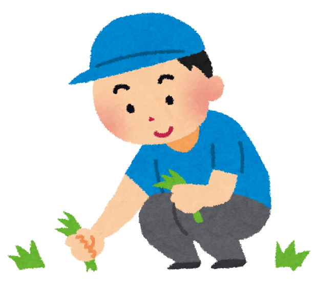 「なぜ世界は雑草だらけになってしまわないのだろう?」という長年の疑問を持っていたが「雑草は森では弱い」のがその理由らしい