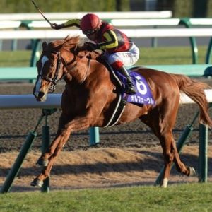 【画像】川田将雅さん、大物調教師に笑顔を求められるも断固拒否ｗｗｗｗｗｗｗｗｗｗｗ