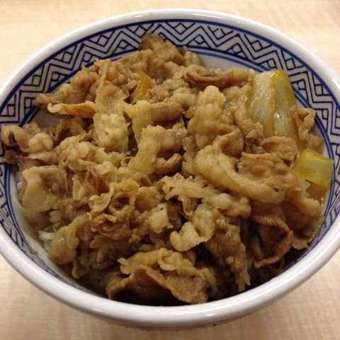 店員「ご注文お決まりですか？」　彡(ﾟ)(ﾟ)「牛丼大盛りつゆだけで！」