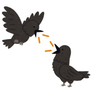飲食店「カラスが店の中に入ってくるのどう対策しよう･･･せや！」