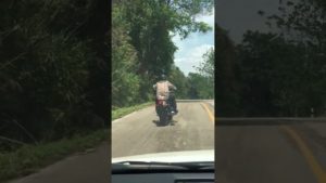 【海外】走行中のバイクに襲い掛かるヘビ