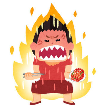 【祝・正式登録】韓国人だけがかかる病気「火病」 米国精神医学会に公式に登録される