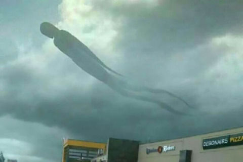 ザンビア上空に謎の巨大生物が出たらしい・・・