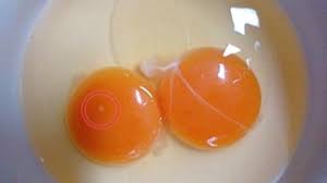 乳と無精卵と塩と水以外に生物を殺さないで得られる食料ってなんかある？