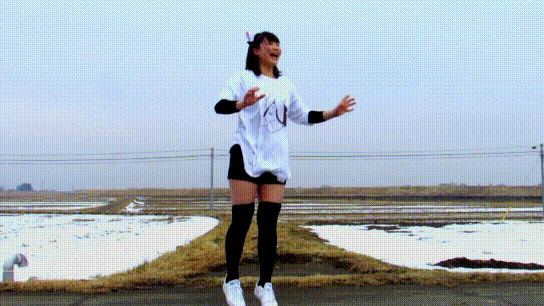 lllトゥルティンアンテナlll