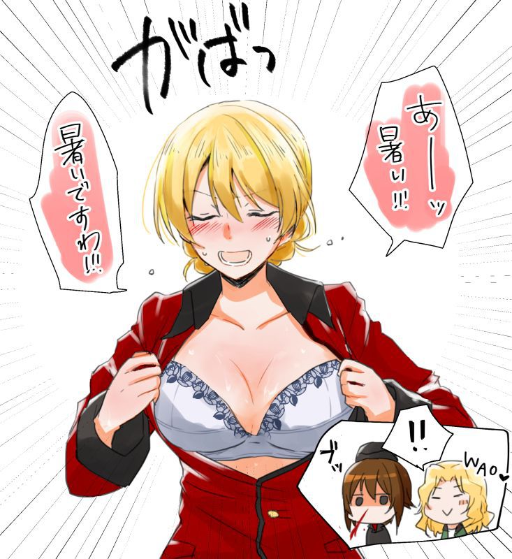 ガルパン24