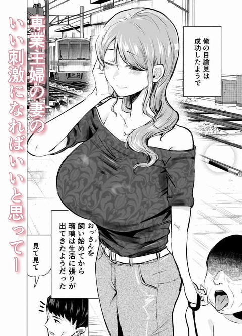 妻がおっさんに寝取られた話-003