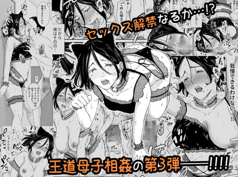 僕の大好きな母さんと思う存分セックスできる日 3-005