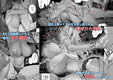 d_719857ss001