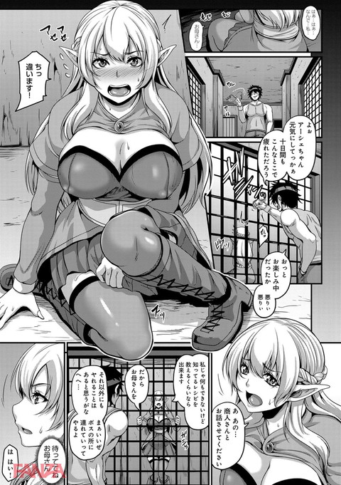 愛嬢の淫辱エルフ-0004