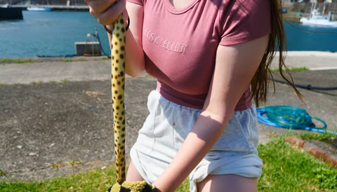 スクリーンショット 2026-01-17 082506