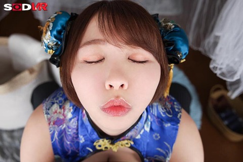 imgi_117_13dsvr01775jp-9