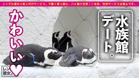 cap_e_3_300mium-571[1]