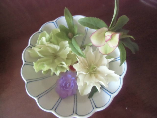 クリスマスローズ リグリクスの交配苗の花が次々にあがってますが ペットのことなども