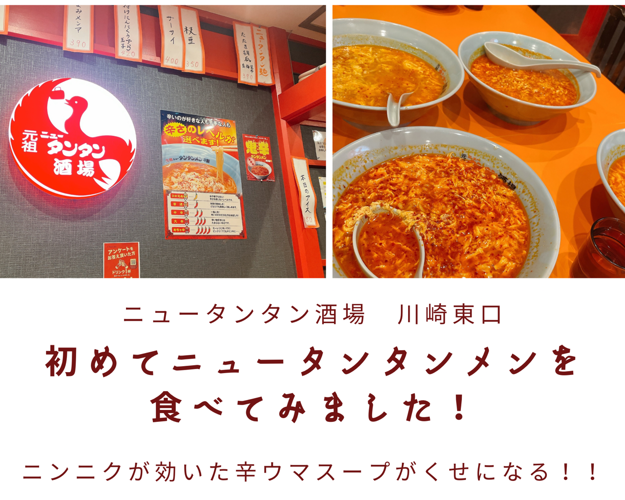 元祖 ニュー タンタン 酒場 川崎 東口 店