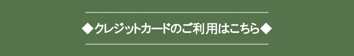 ¢¡¥¯¥ì¥¸¥Ã¥È¥«¡¼¥É¤¬¤´ÍøÍÑ