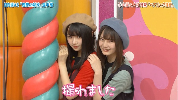 乃木坂46