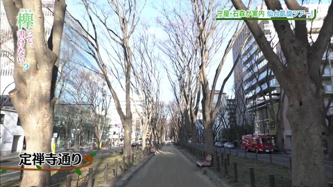 vlcsnap-2019-03-12-10h48m49s110