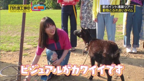 vlcsnap-2019-04-08-20h47m01s370