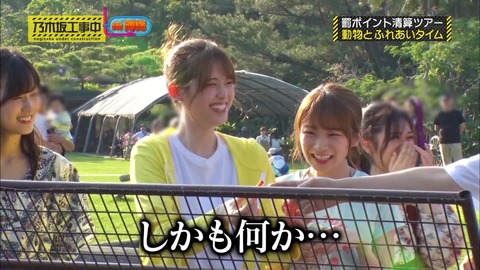 vlcsnap-2019-04-08-20h50m30s096