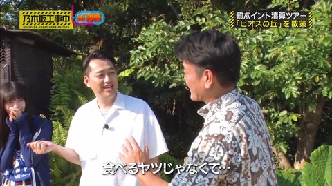 vlcsnap-2019-04-08-20h23m21s440