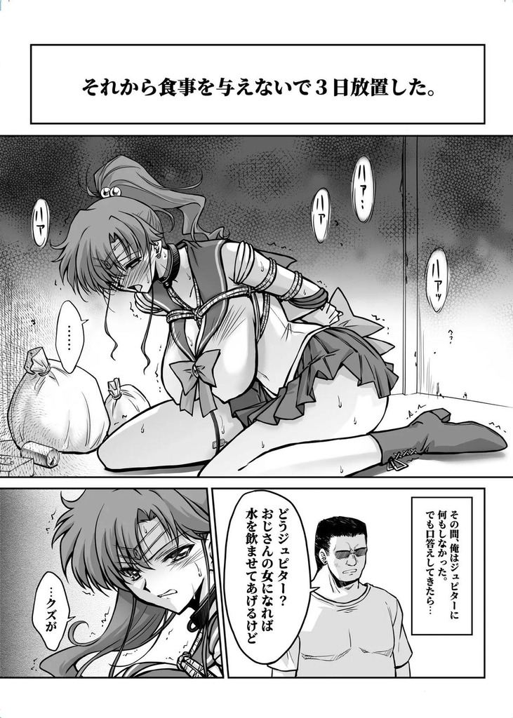 セーラージュピター10