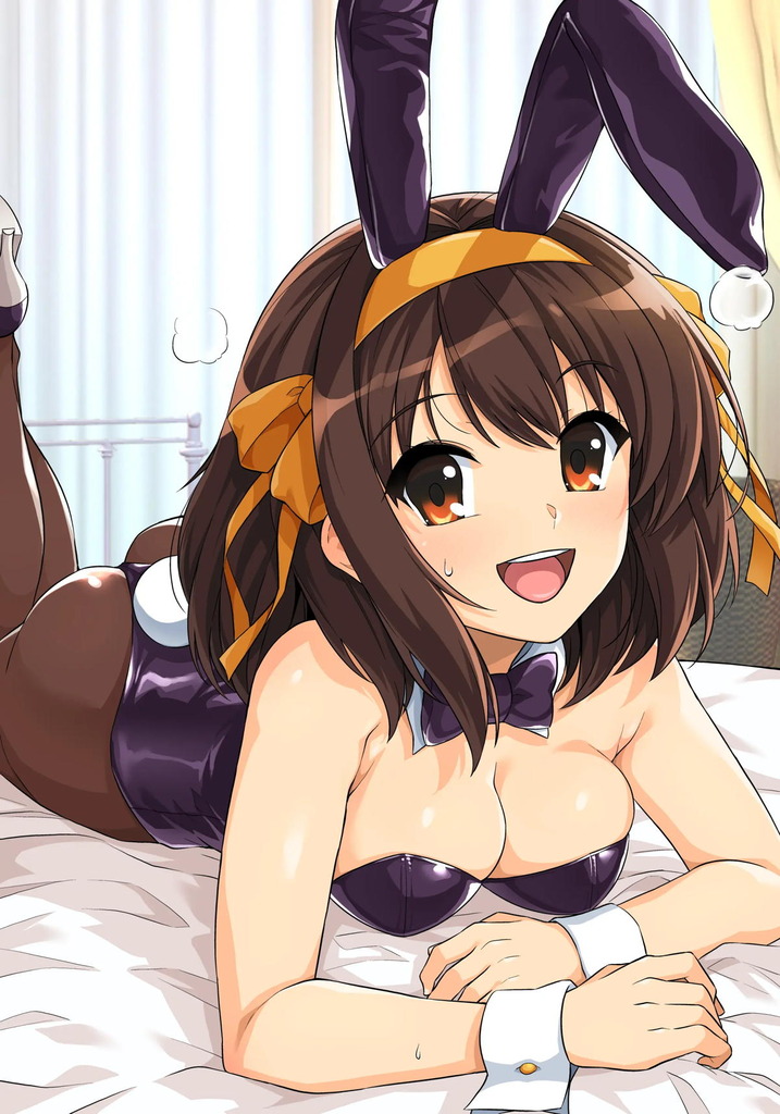 涼宮ハルヒ23