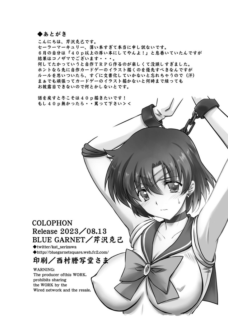 セーラーマーキュリー17